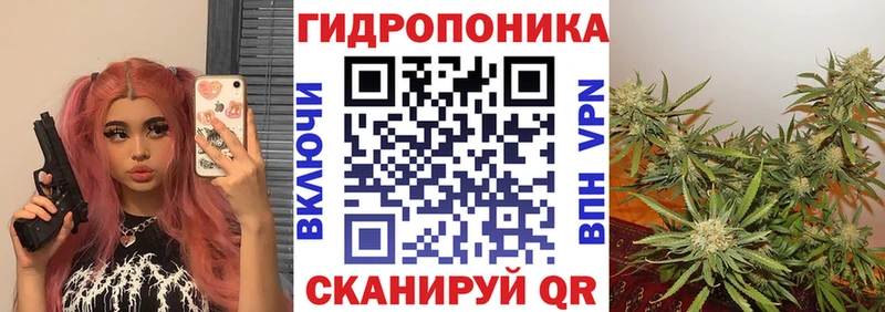 Купить наркотик Йошкар-Ола Бошки Шишки MEGA ONION ГАШ APVP