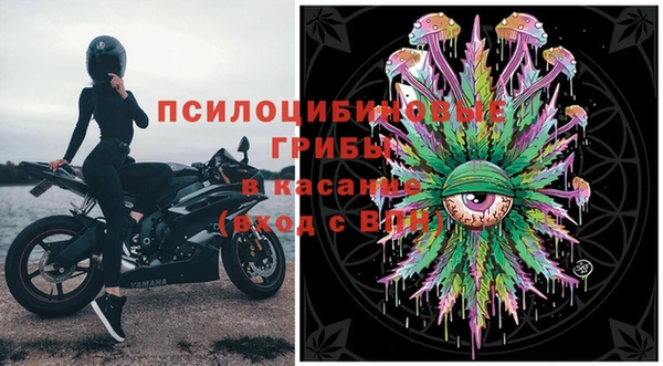 Альфа ПВП Грязовец