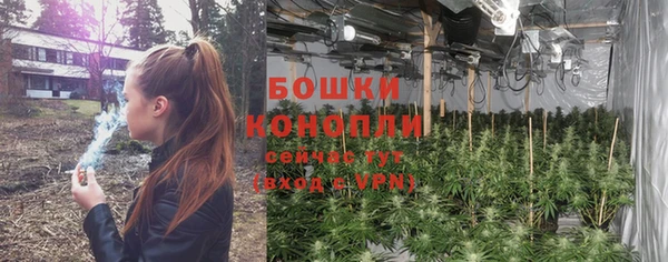Альфа ПВП Грязовец