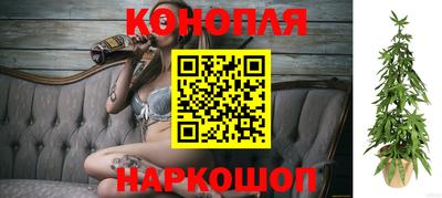 мяу мяу мука Гагарин