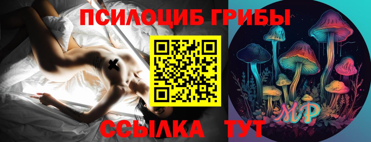 Галлюциногенные грибы прущие грибы  как найти наркотики  Йошкар-Ола  Галлюциногенные грибы Psilocybe  Вход с VPN 